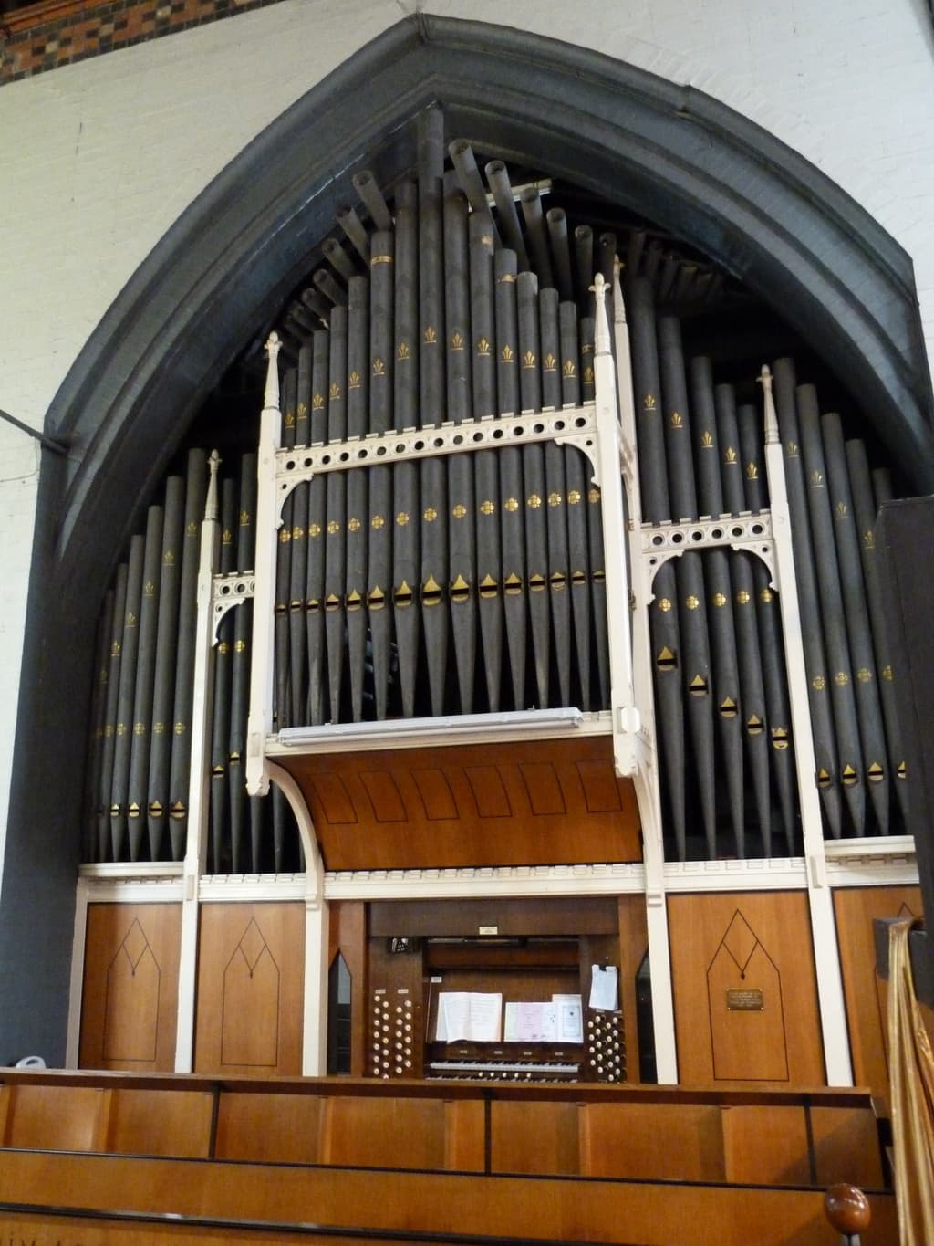 Our organ